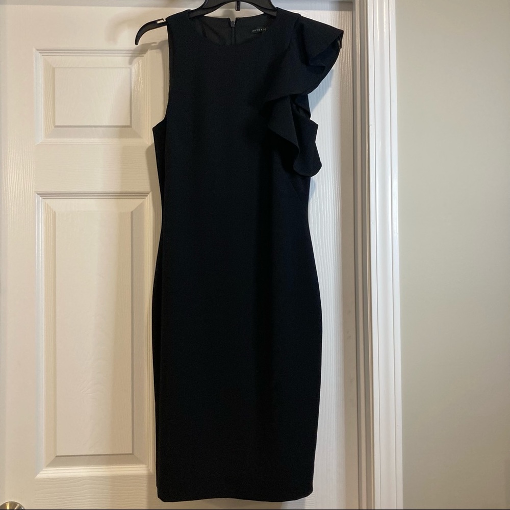 Antonio Melani Dress.